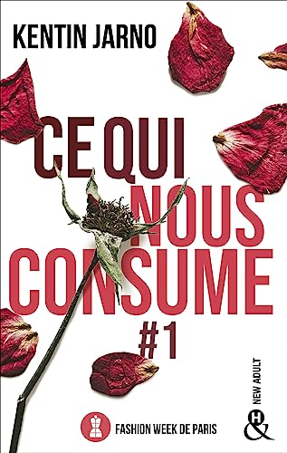 “Ce qui nous consume. Tome 1” – Maïlly Vincent en 3C vous présente son roman favori !