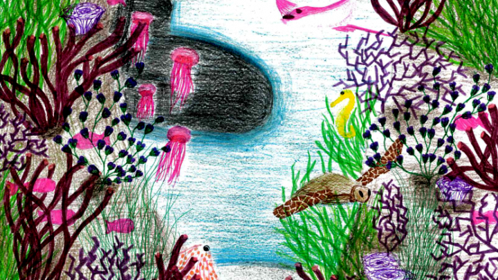 Les fonds marins du club manga